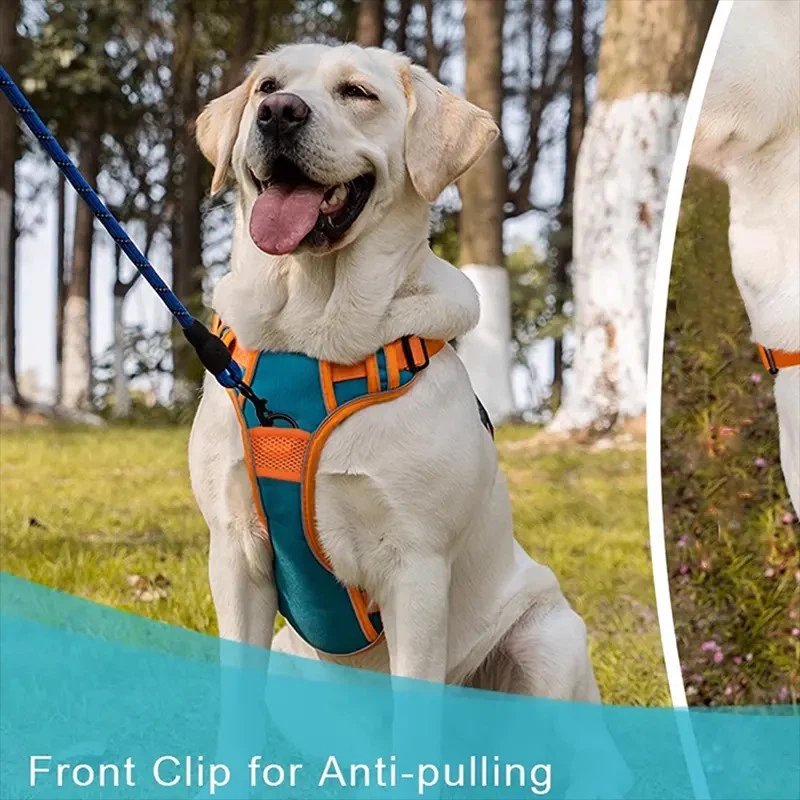 Dog Harness With Handle