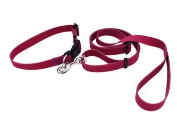 Siv zog Skidsproof Taug kev Doggies Silicone Dog Leash Collars