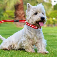 Newest Waterproof Tsiaj Collars Reflective Dog Leashes